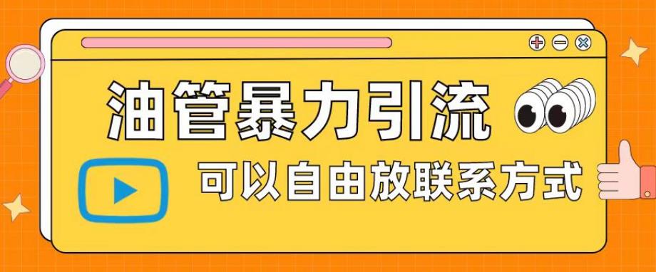 油管暴力引流，可以自由放联系方式【揭秘】-大海创业网