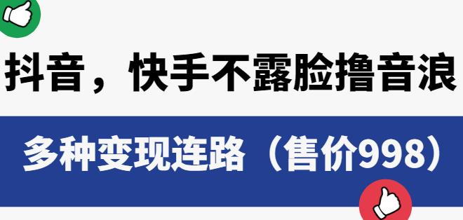 抖音快手不露脸撸音浪项目，多种变现连路（售价998）-大海创业网