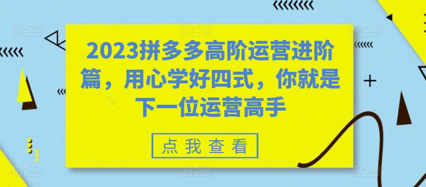 2023拼多多高阶运营进阶篇，用心学好四式，你就是下一位运营高手-有道网创