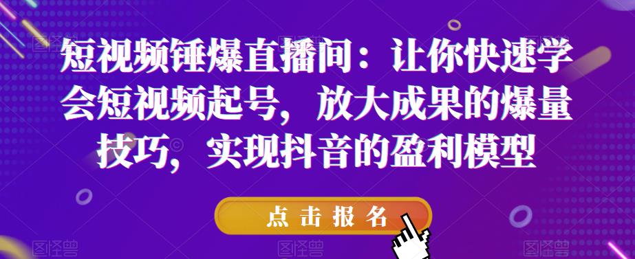 短视频锤爆直播间：让你快速学会短视频起号，放大成果的爆量技巧，实现抖音的盈利模型万项网-开启副业新思路 – 全网首发_高质量创业项目输出万项网