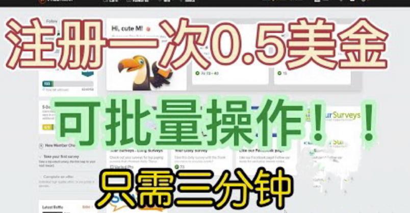 国外项目注册一次0.5美金，只需三分钟无脑操作，可批量同时放大操作，小白工作室福利【揭秘】-大海创业网