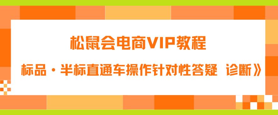 松鼠会电商VIP教程：松鼠《付费推广标品·半标直通车操作针对性答疑&诊断》-八一网创分享