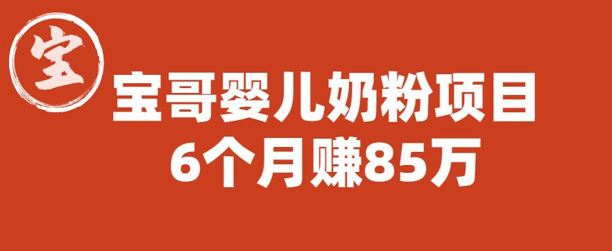 宝哥婴儿奶粉项目，6个月赚85w【图文非视频】【揭秘】-八一网创分享