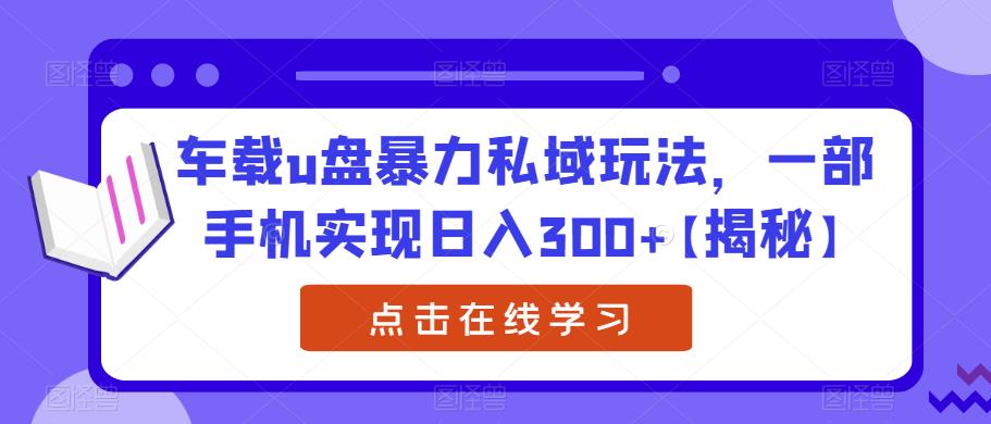 车载u盘暴力私域玩法，一部手机实现日入300+【揭秘】-创享网