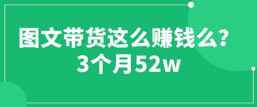 图文带货这么赚钱么? 3个月52W 图文带货运营加强课【揭秘】-八度网创