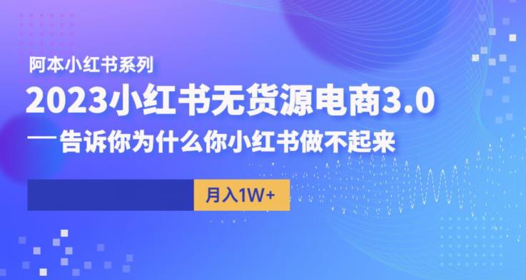 阿本小红书无货源电商3.0，告诉你为什么你小红书做不起来-大海创业网