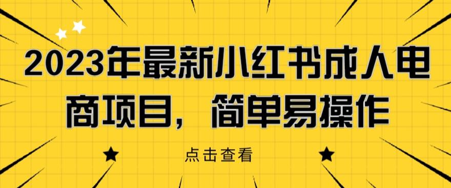 2023年最新小红书成人电商项目，简单易操作【详细教程】【揭秘】-有道网创