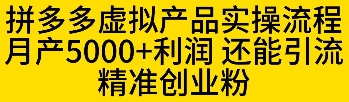 拼多多虚拟产品实操流程，月产5000+利润，还能引流精准创业粉【揭秘】-云网创