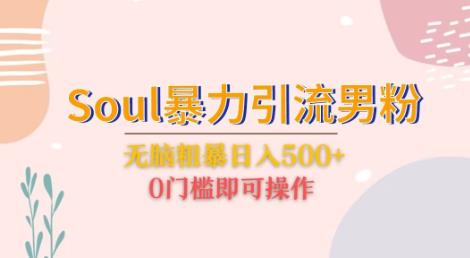 Soul暴力引流男粉玩法，无脑粗暴日入500＋，0门槛即可操作【揭秘】万项网-开启副业新思路 – 全网首发_高质量创业项目输出万项网