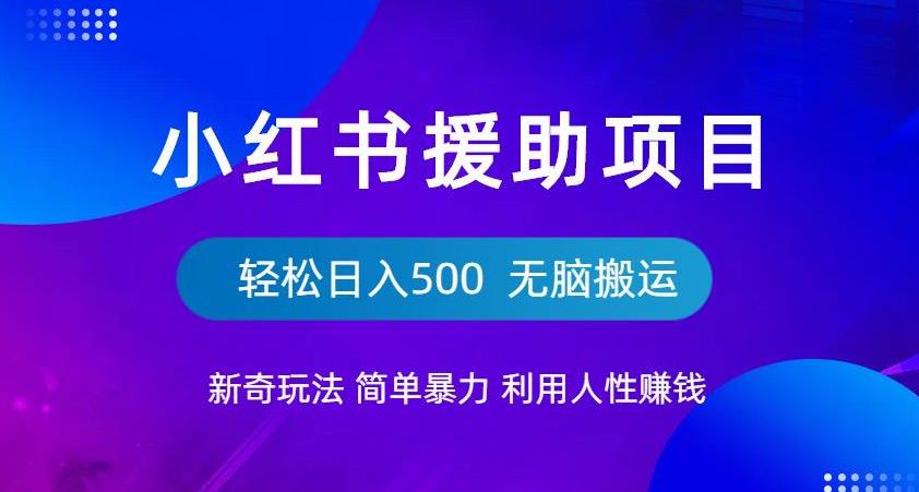 小红书援助项目新奇玩法，简单暴力，无脑搬运轻松日入500【揭秘】-星云网创