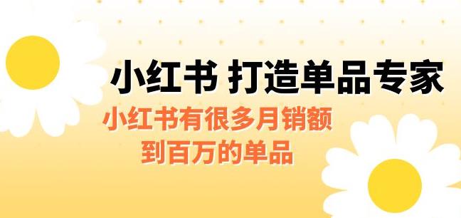 某公众号付费文章《小红书打造单品专家》小红书有很多月销额到百万的单品 - 当动网创