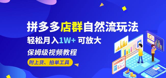 拼多多店群自然流玩法，轻松月入1W+保姆级视频教程（附上货、拍单工具）-星云网创