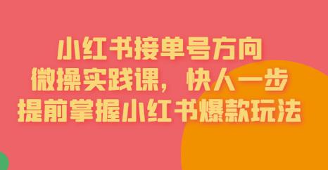 接单号方向·小红书微操实践课，快人一步，提前掌握小红书爆款玩法-枫客网创