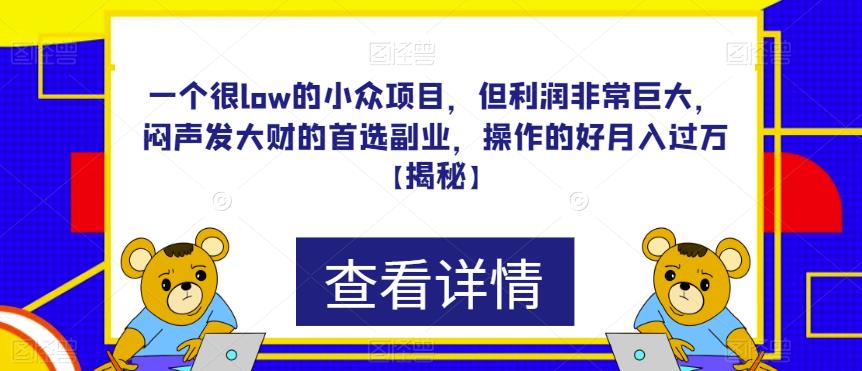 一个很low的小众项目，但利润非常巨大，闷声发大财的首选副业，操作的好月入过万【揭秘】-休闲网赚three