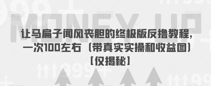 让马扁子闻风丧胆的终极版反撸教程，一次100左右（带真实实操和收益图）【仅揭秘】-深鱼云创