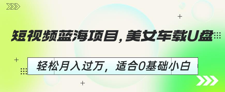 短视频蓝海项目，美女车载U盘，轻松月入过万，适合0基础小白【揭秘】-雨辰网创分享