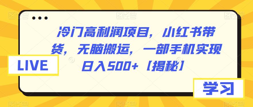 冷门高利润项目，小红书带货，无脑搬运，一部手机实现日入500+【揭秘】-小禾网创