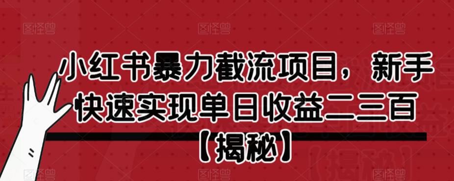 小红书暴力截流项目，新手快速实现单日收益二三百【仅揭秘】-创享网