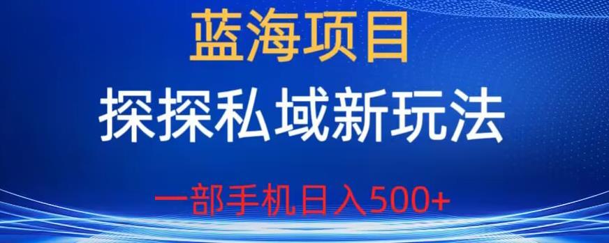 蓝海项目，探探私域新玩法，一部手机日入500+很轻松【揭秘】-副创网