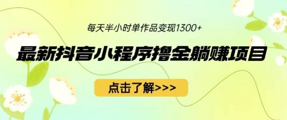 最新抖音小程序撸金躺赚项目，一部手机每天半小时，单个作品变现1300+【揭秘】-大海创业网