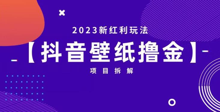 抖音壁纸小程序创作者撸金项目，2023新红利玩法【项目拆解】-亿云网创