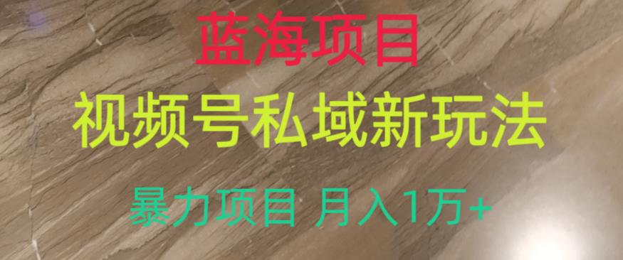 蓝海项目，视频号私域新玩法，暴力项目月入1万+【揭秘】-枫客网创