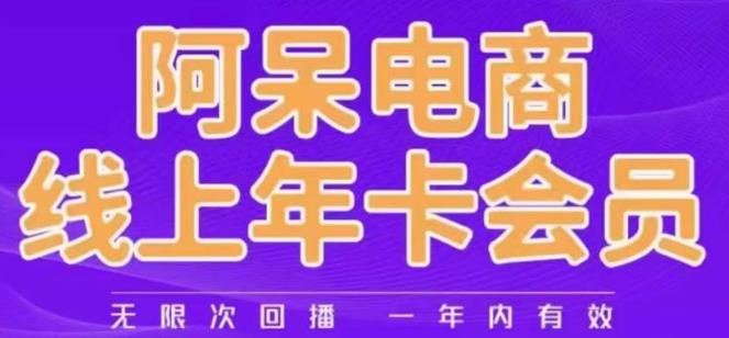 阿呆电商线上年会员，阿呆电商干货分享（更新中）-雨辰网创分享