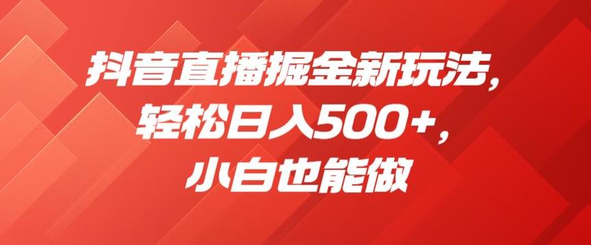 抖音直播掘金新玩法，轻松日入500+，小白也能做【揭秘】-大海创业网