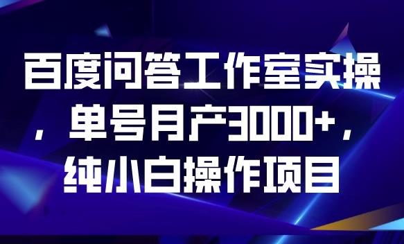 百度问答工作室实操，单号月产3000+，纯小白操作项目【揭秘】-大海创业网