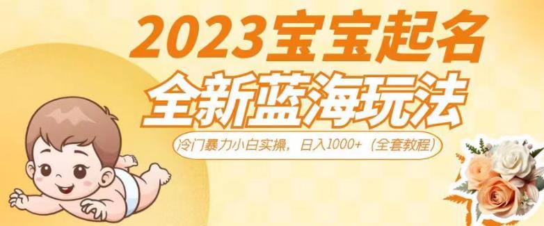 2023宝宝起名全新蓝海玩法，冷门暴力小白实操，日入1000+（全套教程）【揭秘】-易创网