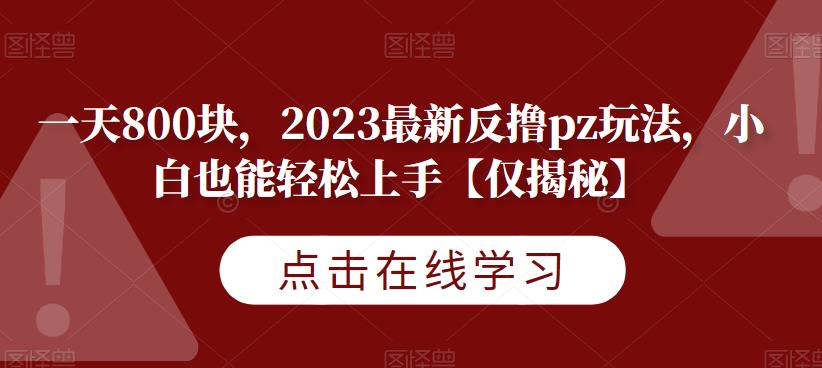 一天800块，2023最新反撸pz玩法，小白也能轻松上手【仅揭秘】-大海创业网