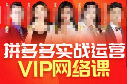 推易拼多多VIP全套直播课程，拼多多店铺实操玩法+实战玩法选款内功+直通车高阶等-深鱼云创