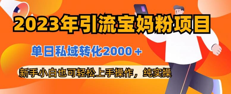 2023年引流宝妈粉项目，单日私域转化2000＋，新手小白也可轻松上手操作，纯实操万项网-开启副业新思路 – 全网首发_高质量创业项目输出万项网