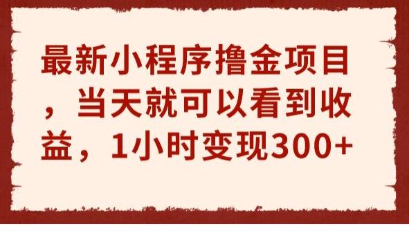 最新小程序撸金项目，当天就可以看到收益，1小时变现300+【揭秘】-花生资源网