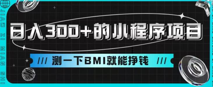 日入300+的小程序项目，测一下BMI就能挣钱【揭秘】-休闲网赚three