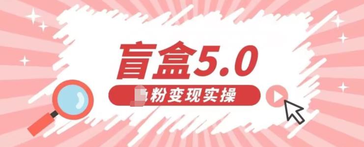 盲盒交友5.0，男粉变现实操项目，亲测变现效果极好【揭秘】-休闲网赚three