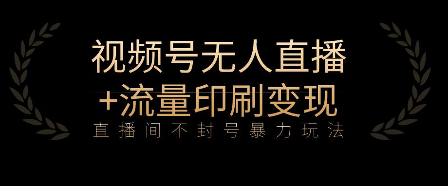 全网首发视频号不封号无人直播暴利玩法+流量印刷机变现，日入1000+【揭秘】 - 当动网创