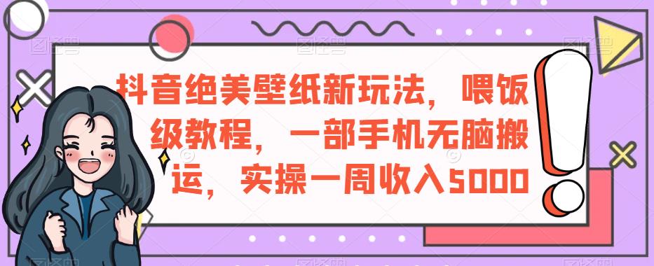 抖音绝美壁纸新玩法，喂饭级教程，一部手机无脑搬运，实操一周收入5000【揭秘】-大海创业网