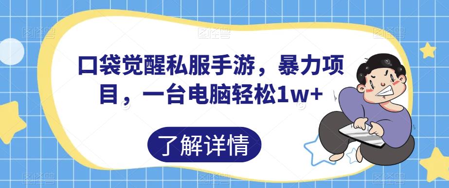 口袋觉醒私服手游，暴力项目，一台电脑轻松1w+【揭秘】-创享网