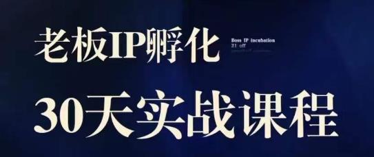 诸葛·2023老板IP实战课，实体同城引流获客，IP孵化必听-花生资源网