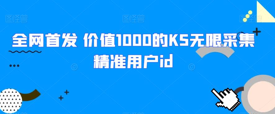 全网首发 价值1000的KS无限采集精准用户id-枫客网创