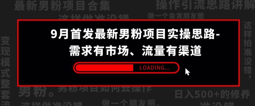 9月首发最新男粉项目实操思路-需求有市场，流量有渠道【揭秘】-创享网