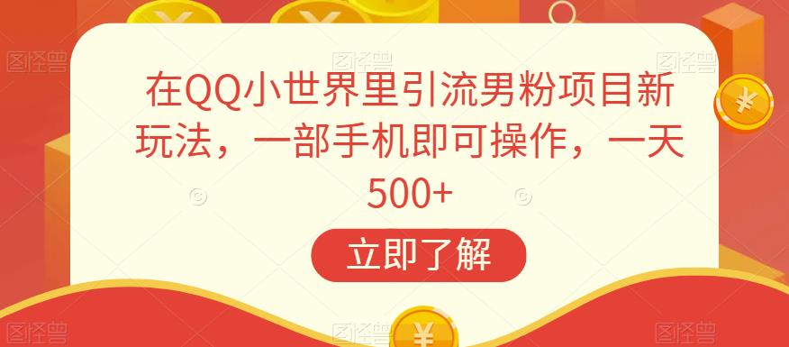 在QQ小世界里引流男粉项目新玩法，一部手机即可操作，一天500+【揭秘】-大海创业网
