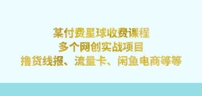 某付费星球课程：多个网创实战项目，撸货线报、流量卡、闲鱼电商等（文档非视频）-有道网创