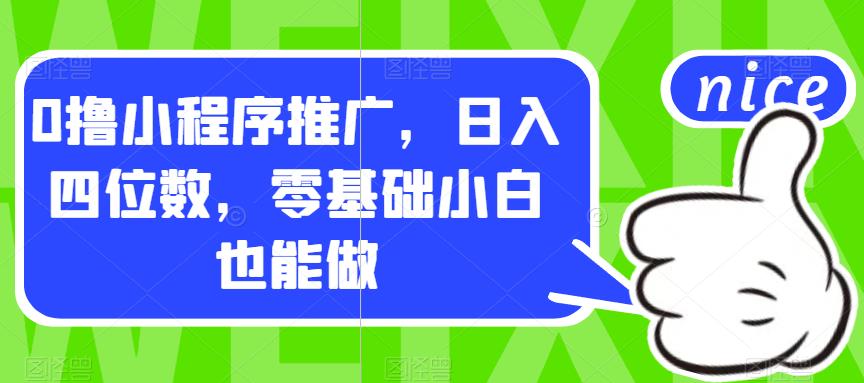 0撸小程序推广，日入四位数，零基础小白也能做【揭秘】-大海创业网