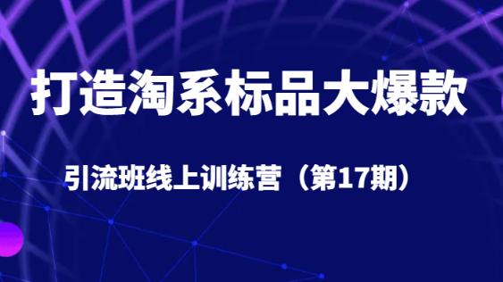 打造淘系标品大爆款引流班线上训练营（第17期）5天直播授课-大海创业网