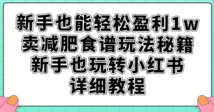 新手也能轻松盈利1w，卖减肥食谱玩法秘籍，新手也玩转小红书详细教程【揭秘】-雨辰网创分享