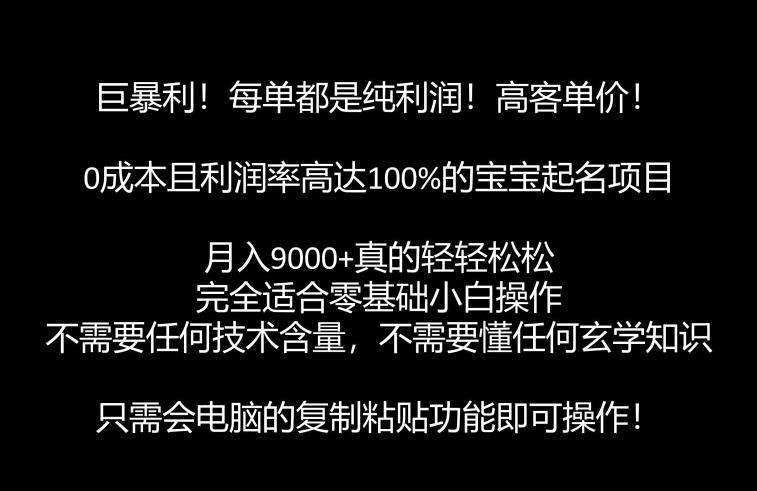 巨暴利，月入9000+的宝宝起名项目，每单都是纯利润，零基础都能躺赚【附软件+视频教程】-云尚网