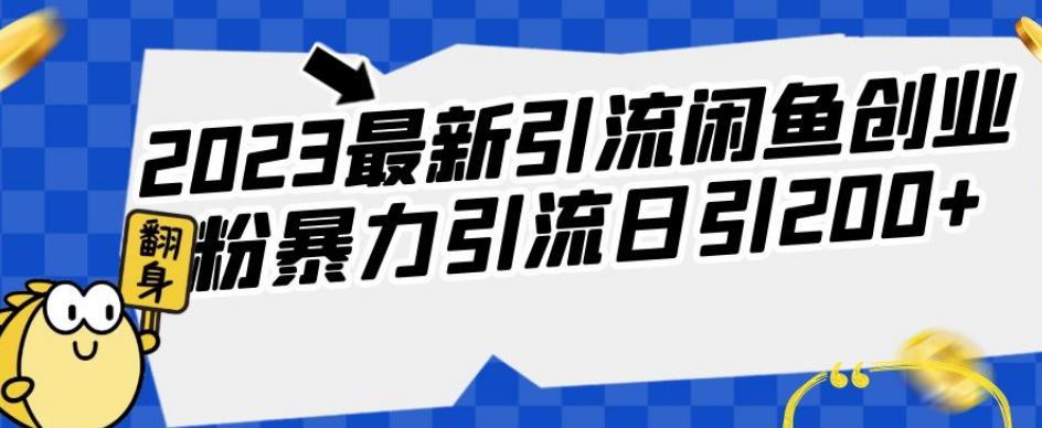 2023最新引流闲鱼创业粉暴力引流日引200+【揭秘】-大海创业网