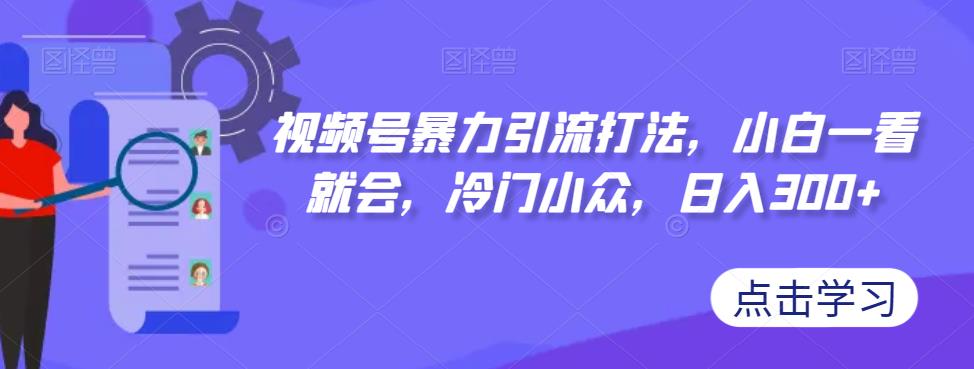 视频号暴力引流打法，小白一看就会，冷门小众，日入300+【揭秘】-枫客网创